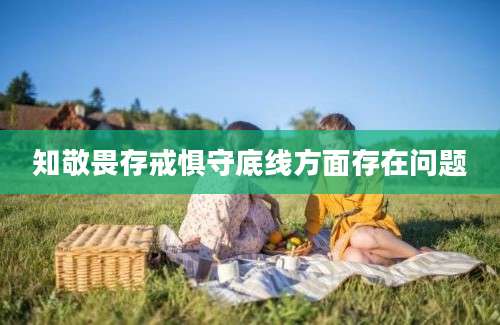 知敬畏存戒惧守底线方面存在问题
