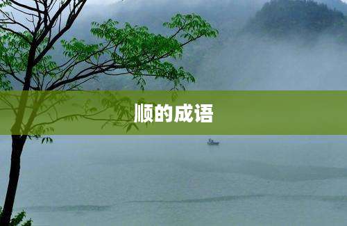 顺的成语