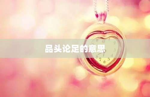 品头论足的意思