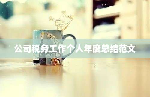 公司税务工作个人年度总结范文