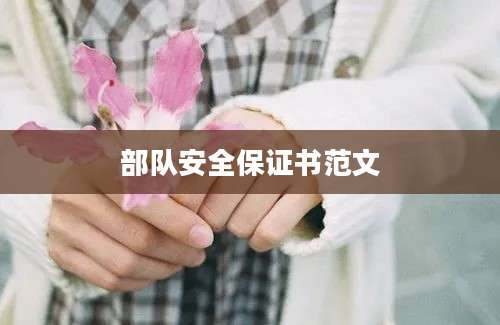 部队安全保证书范文