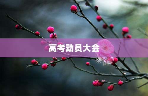 高考动员大会