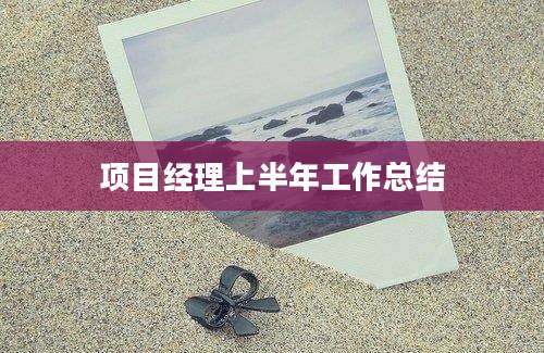 项目经理上半年工作总结
