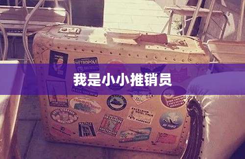 我是小小推销员