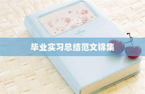毕业实习总结范文锦集