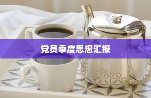 党员季度思想汇报