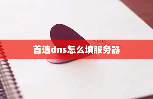 首选dns怎么填服务器