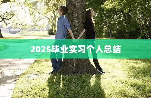 2025毕业实习个人总结