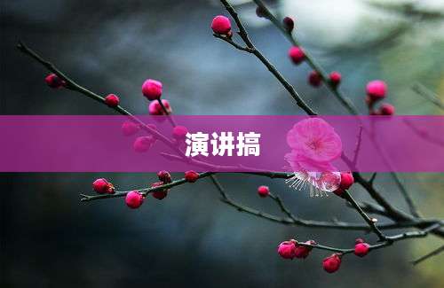 演讲搞