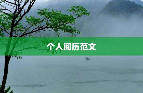 个人阅历范文