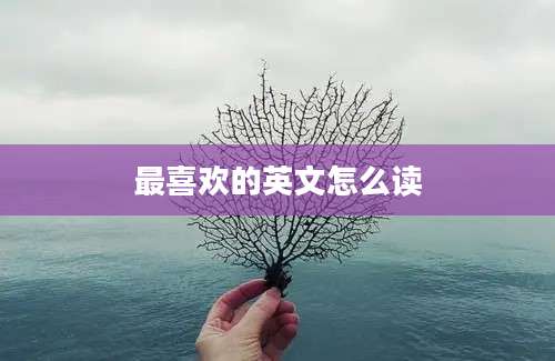 最喜欢的英文怎么读