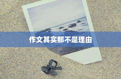 作文其实那不是理由