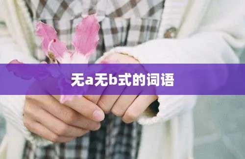 无a无b式的词语