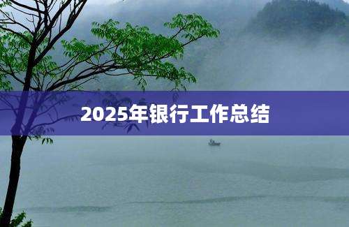 2025年银行工作总结