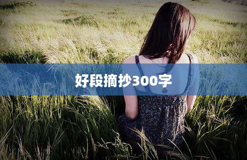 好段摘抄300字