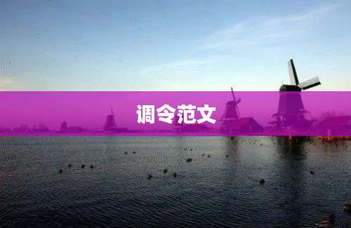 调令范文