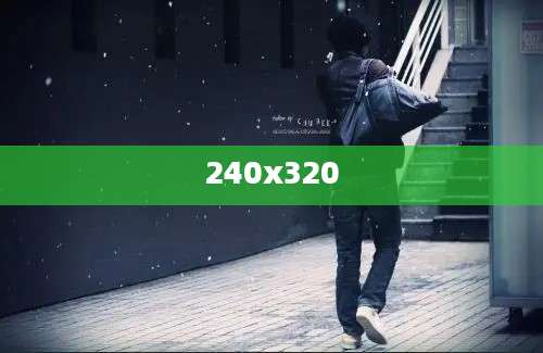 240x320