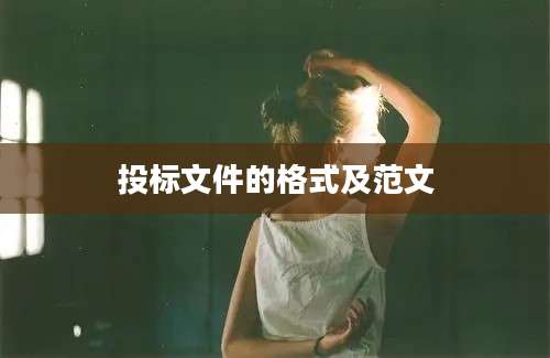 投标文件的格式及范文