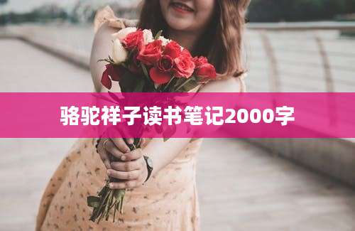 骆驼祥子读书笔记2000字