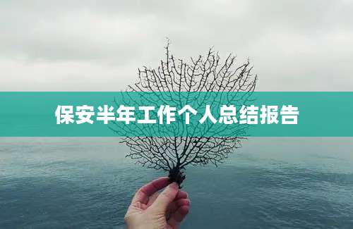 保安半年工作个人总结报告