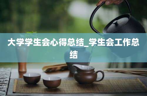 大学学生会心得总结_学生会工作总结