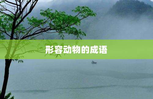 形容动物的成语