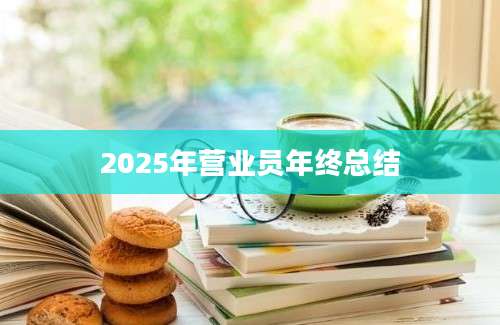 2025年营业员年终总结