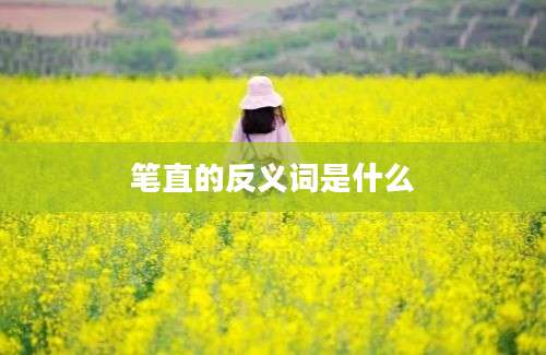 笔直的反义词是什么
