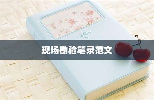 现场勘验笔录范文