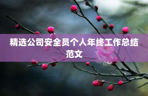 精选公司安全员个人年终工作总结范文