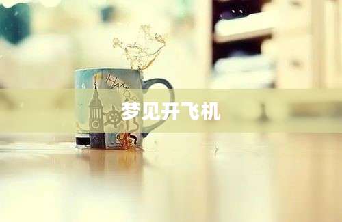 梦见开飞机