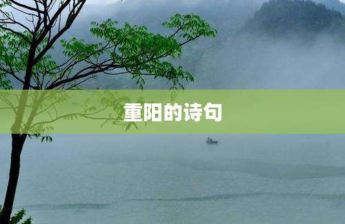 重阳的诗句