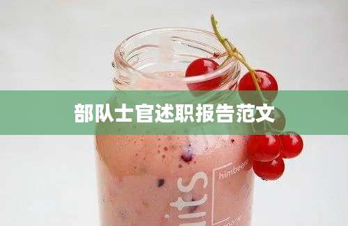 部队士官述职报告范文