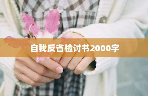 自我反省检讨书2000字