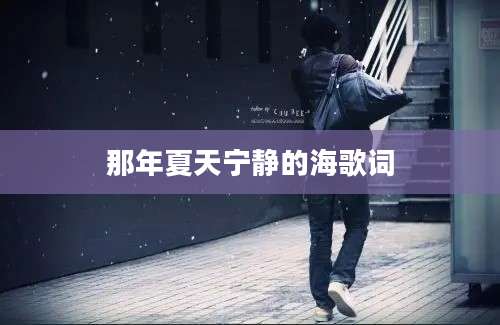 那年夏天宁静的海歌词