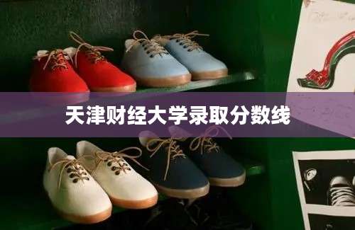 天津财经大学录取分数线