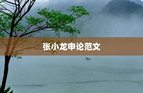 张小龙申论范文