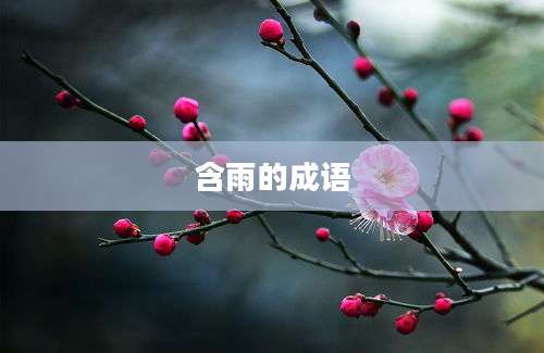 含雨的成语