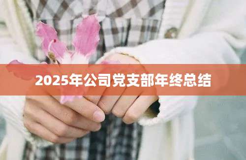 2025年公司党支部年终总结