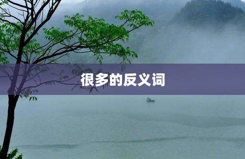 很多的反义词