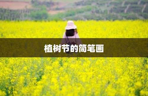 植树节的简笔画