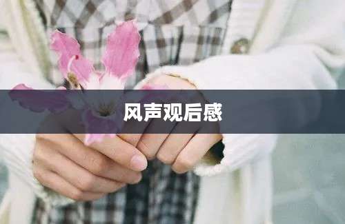 风声观后感