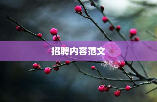 招聘内容范文