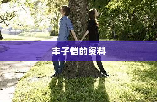 丰子恺的资料