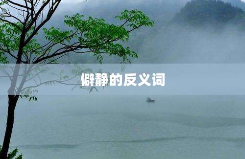 僻静的反义词