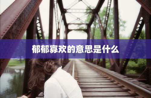 郁郁寡欢的意思是什么