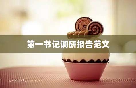 第一书记调研报告范文