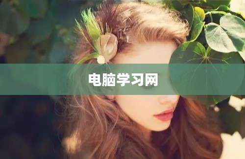 电脑学习网