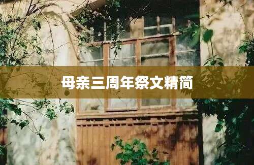 母亲三周年祭文精简