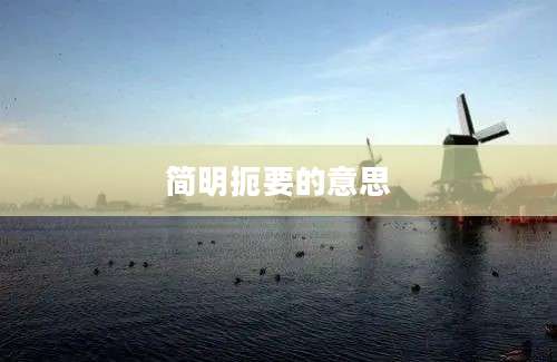 简明扼要的意思